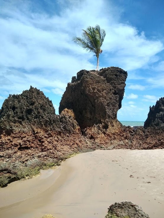 Praia de Tambaba-Conde必去景点
