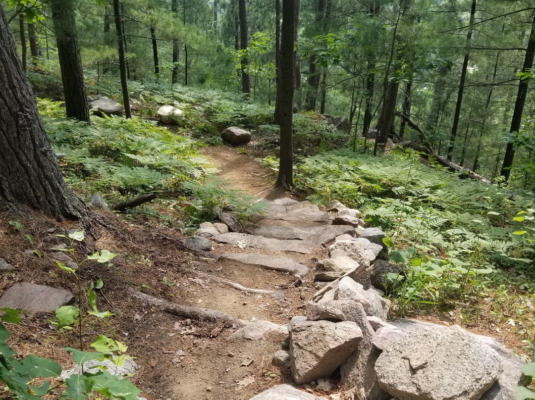 Parc national d'Opémican-Temiscaming必去景点
