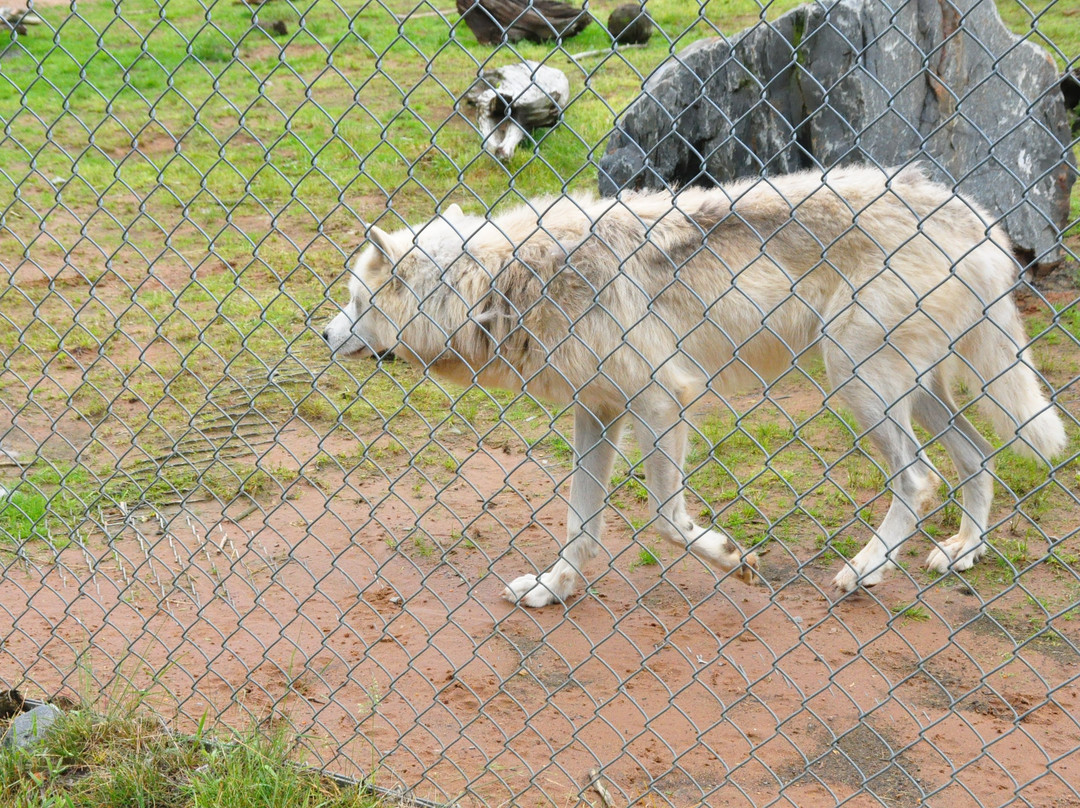 Shubenacadie Wildlife Park景点图片