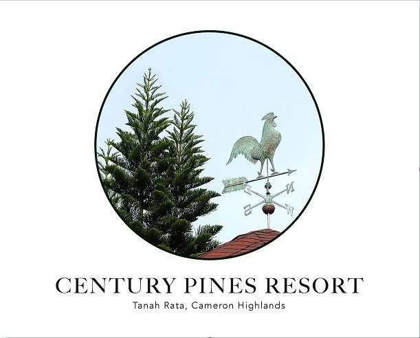 世纪松园度假村主图