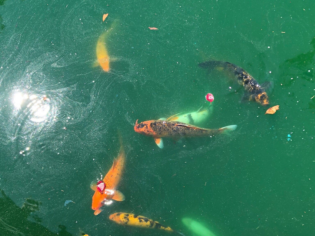 The Track-格尔夫海岸必去景点