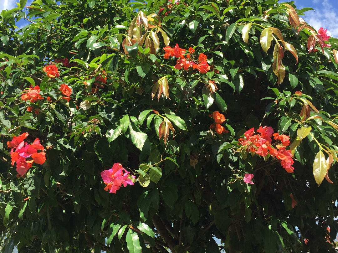 Mentirotiku Guest House主图