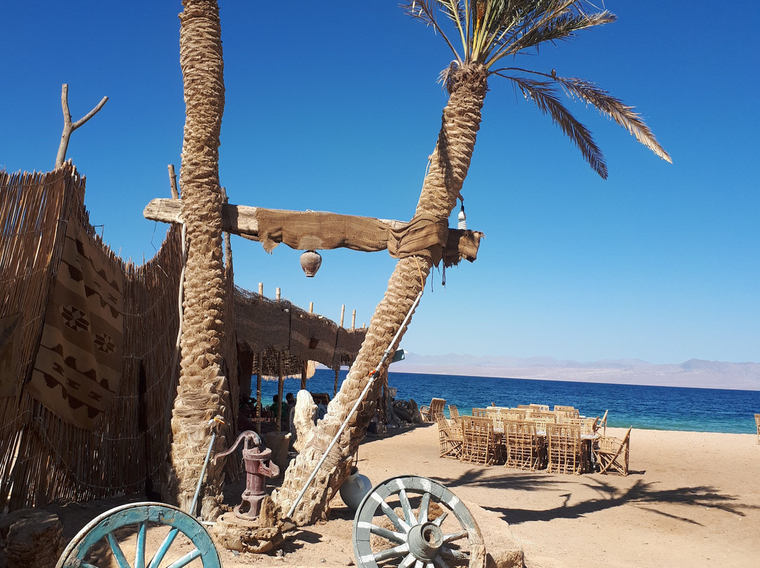 Habiba Beach Lodge主图