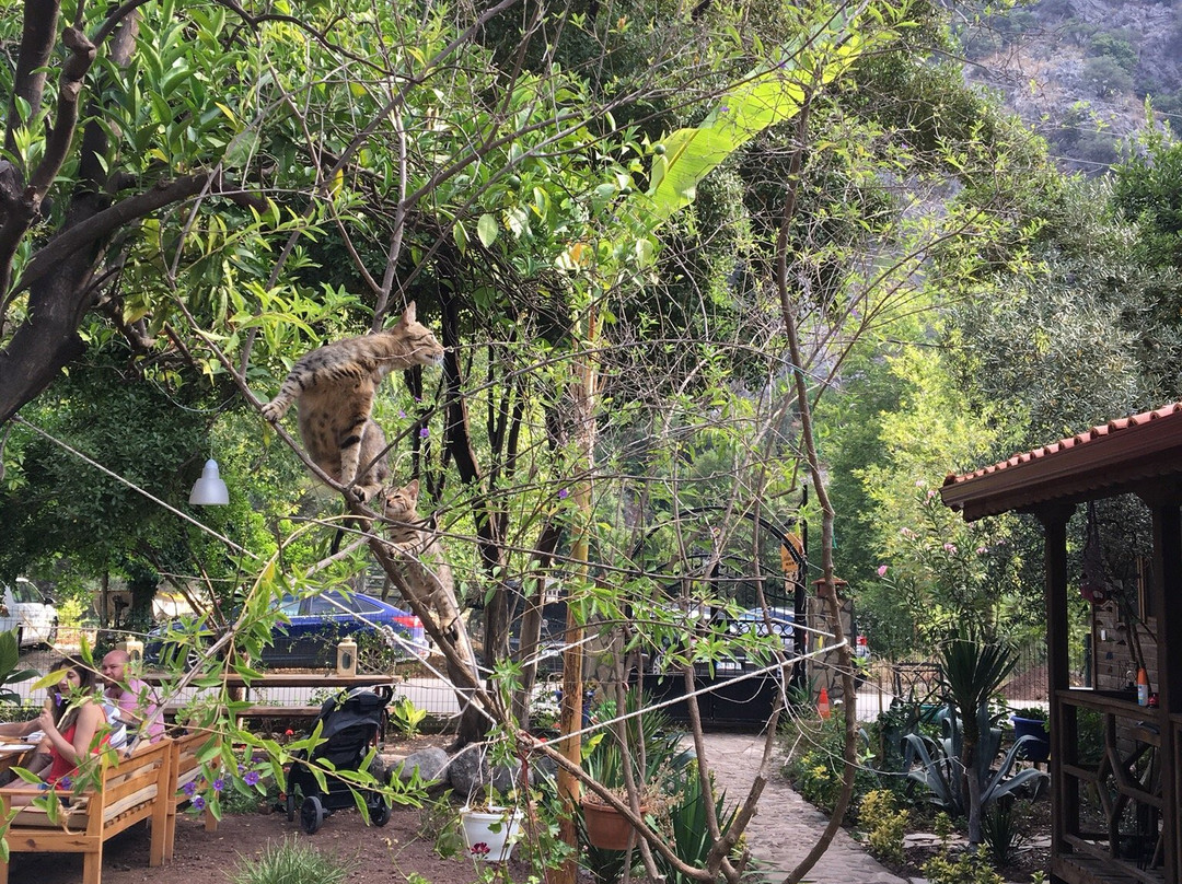 Relax Point Butik Pansiyon主图