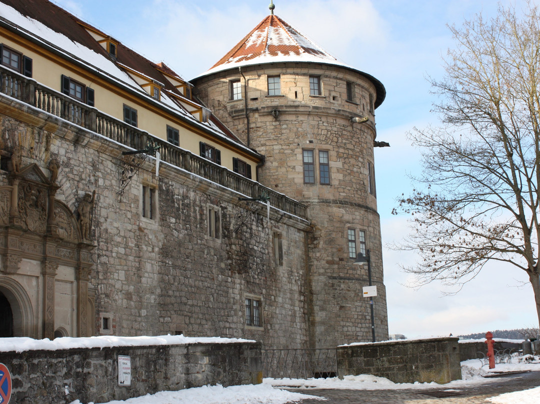 Museum Schloss Hohentuebingen (Museum Ancient Cultures)景点图片