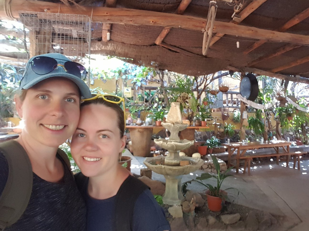 Burro Safari Las Tirajanas-大加那利岛拉斯帕尔马斯必去景点