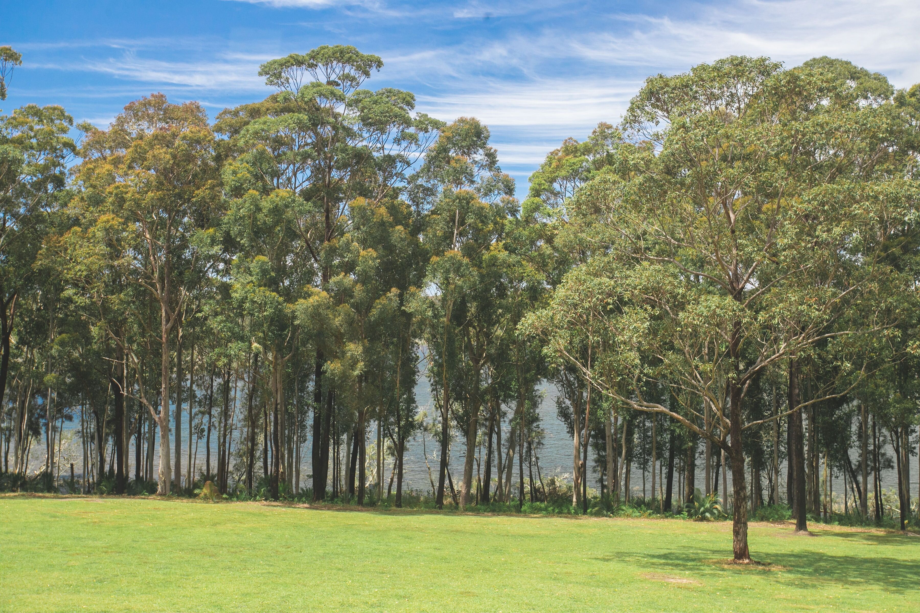 The Jackson Ranch by Bannisters-官方