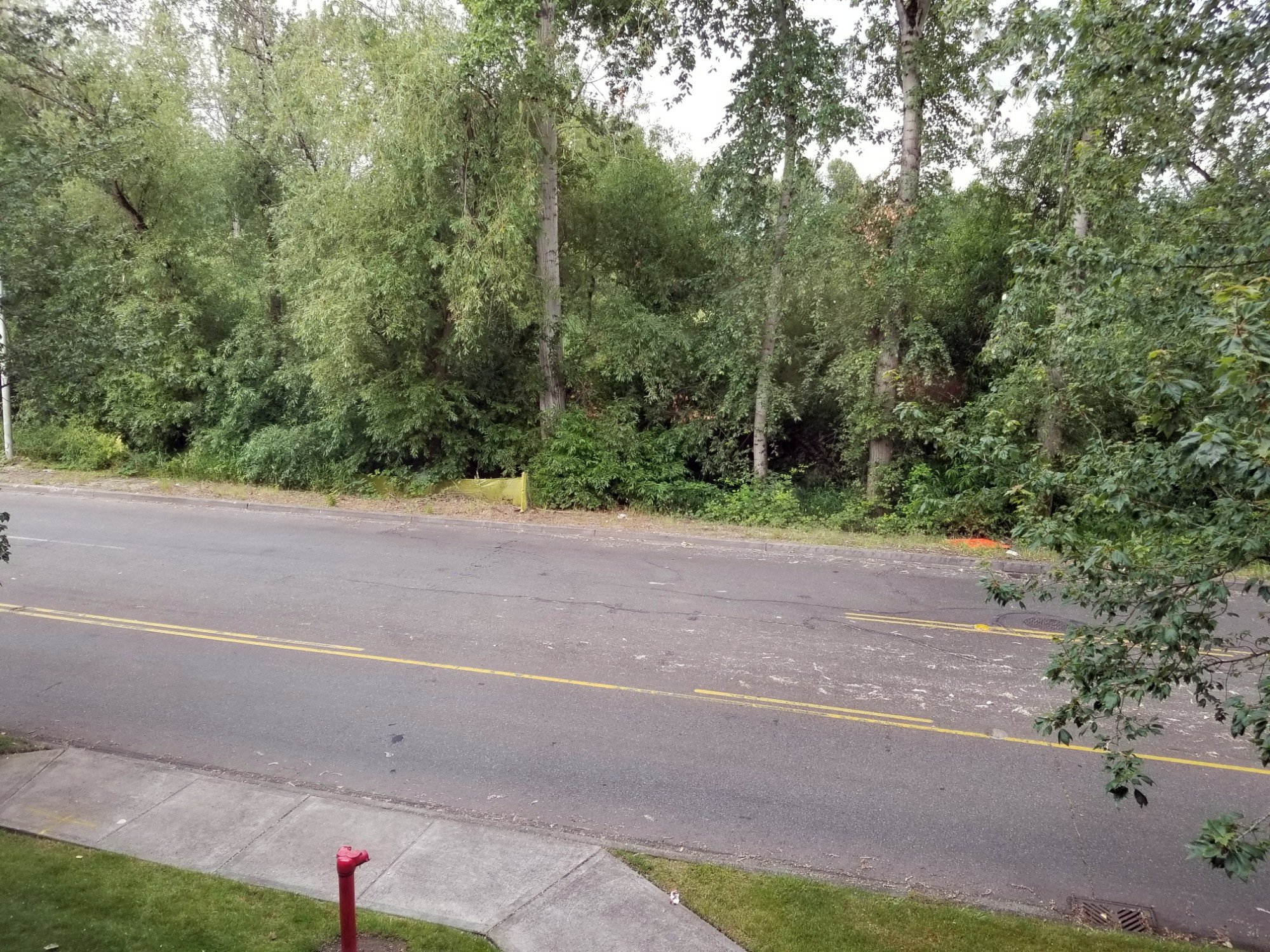 西雅图/兰顿希尔顿花园酒店-酒店景观