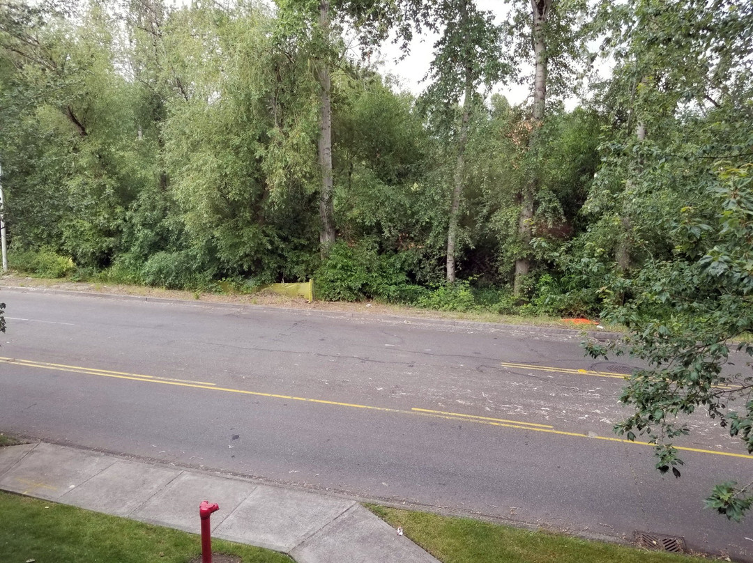 西雅图/兰顿希尔顿花园酒店主图