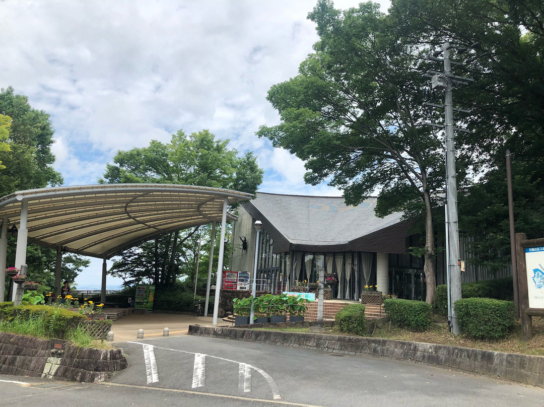 Kashihara City Museum of Insects-橿原市必去景点
