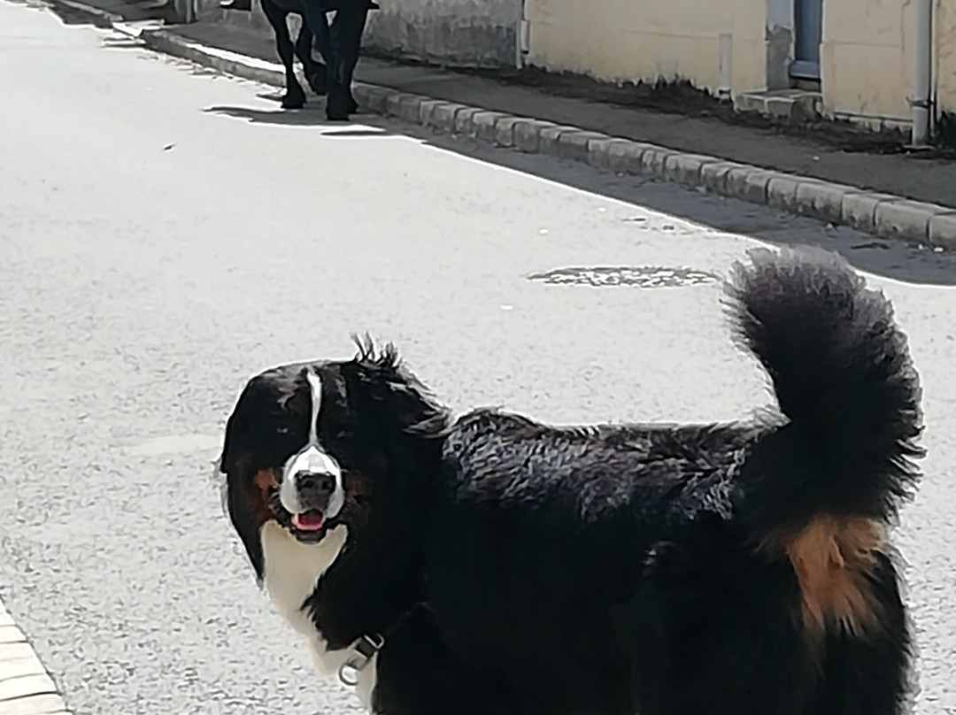 Le Pot à Lait主图