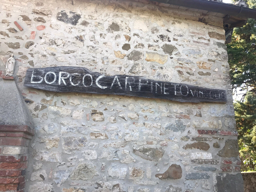 Borgo Carpineto主图