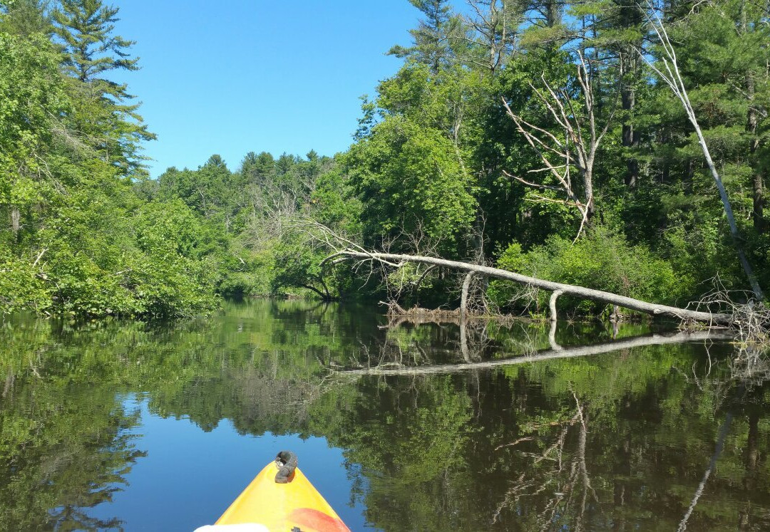 Foote Brothers-Ipswich必去景点