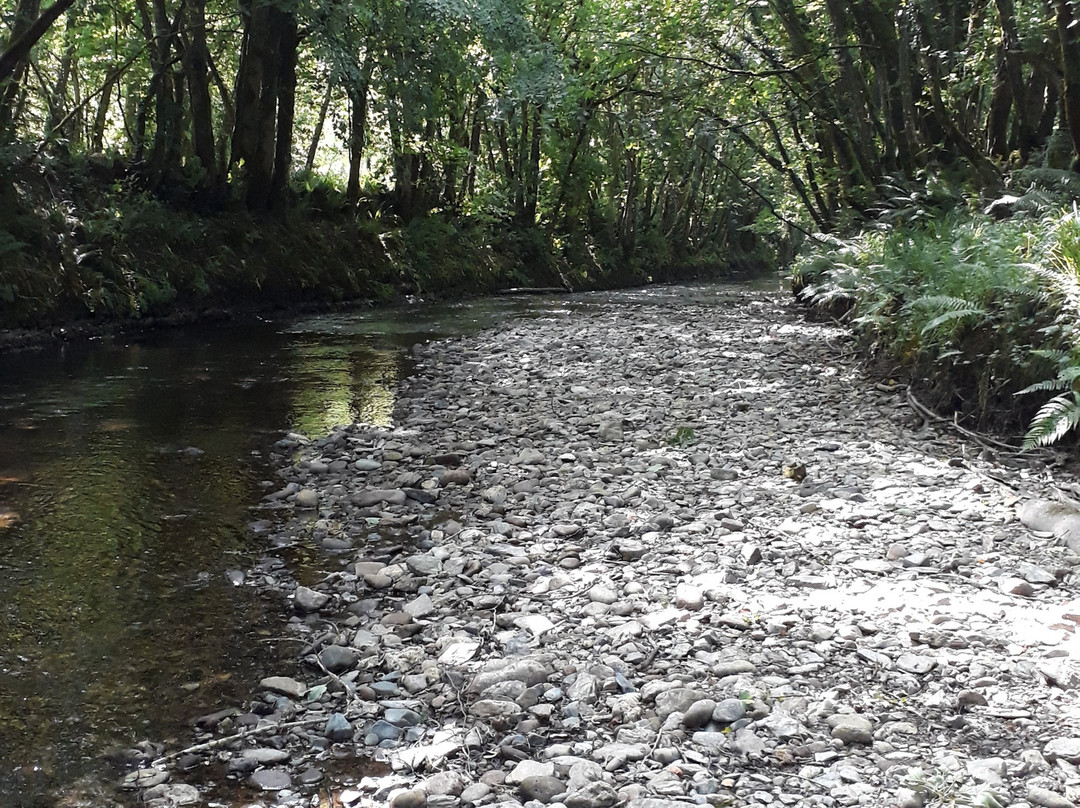 Loddiswell Walk & the Middle Avon Valley-Loddiswell必去景点