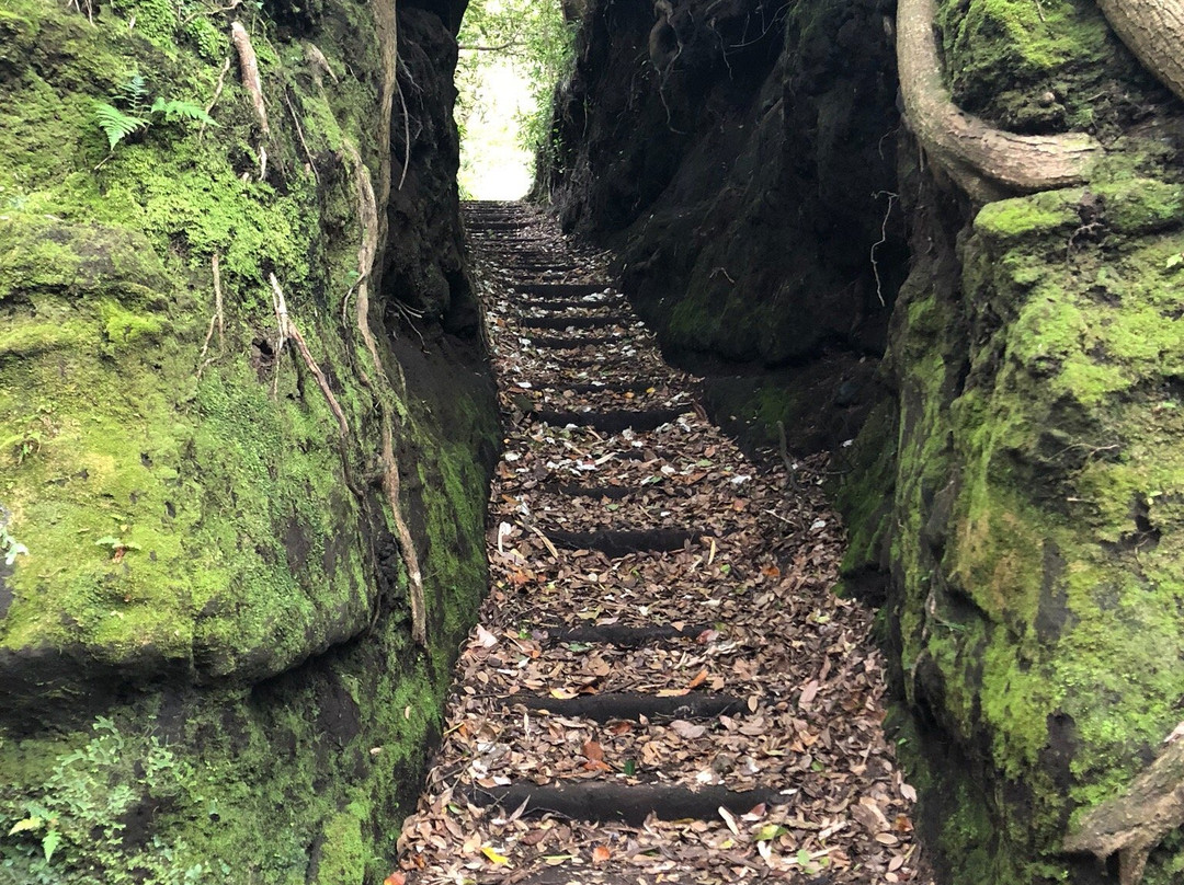 Senzu no Kiridoshi-大岛町必去景点