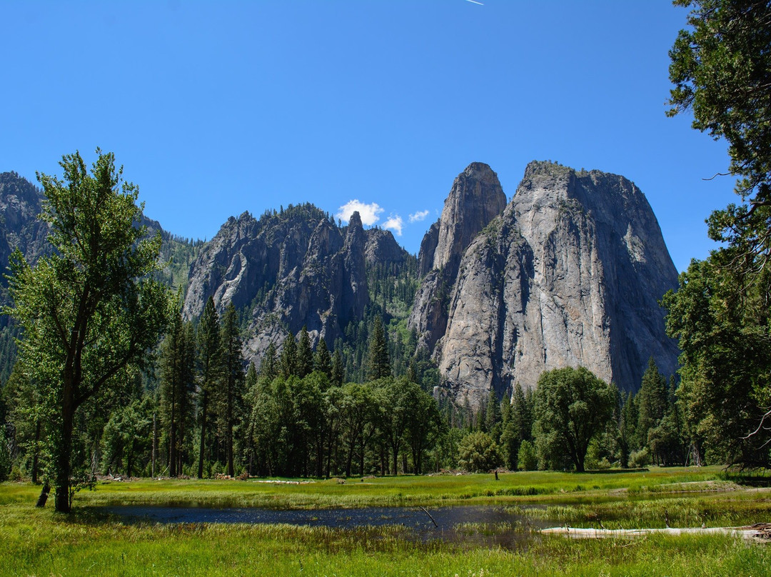 Yosemite Private Tours-优胜美地国家公园必去景点