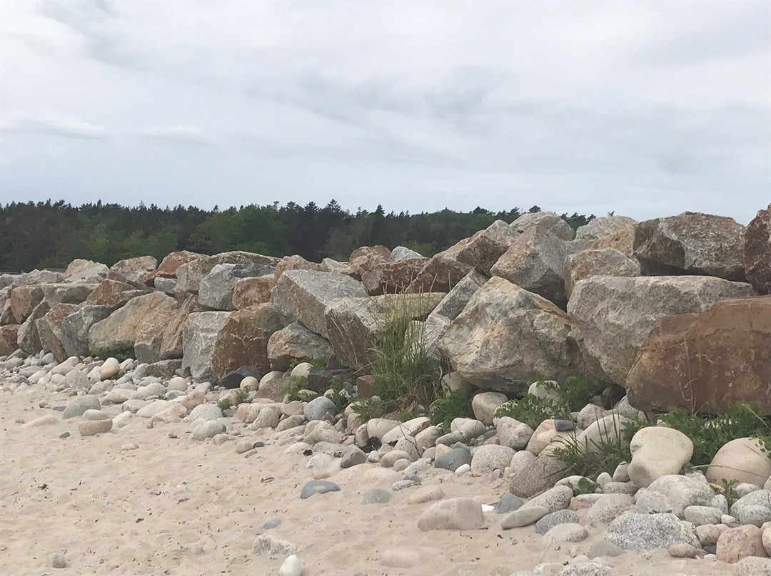 Queensland Beach景点图片