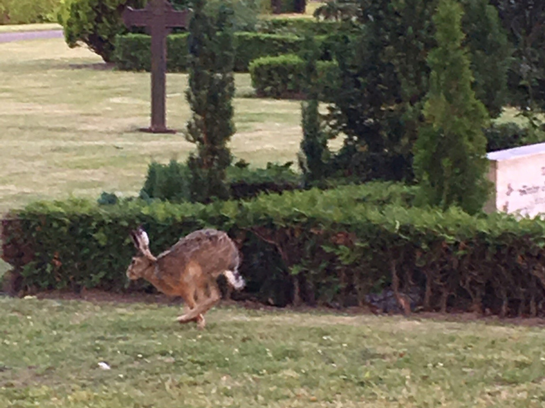 Almen Kirkegard-奥尔堡必去景点