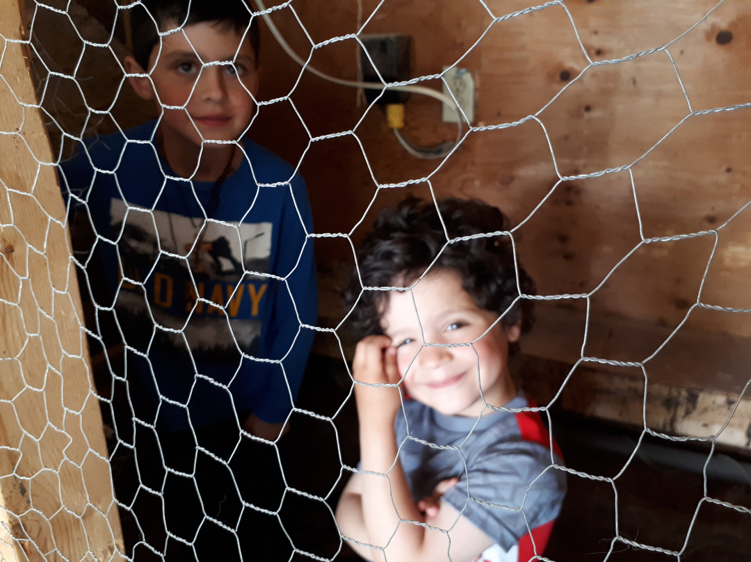 Fenek Farms-Lumsden必去景点