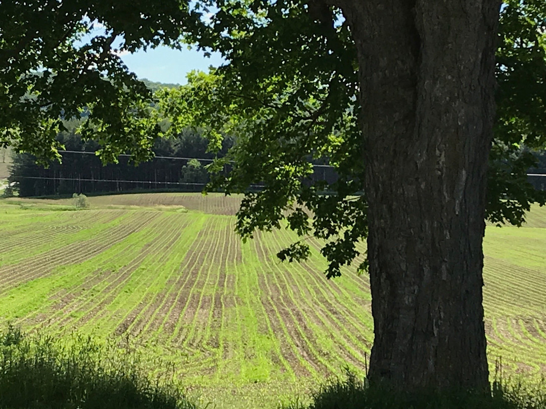Auberge Des Trois Érables主图
