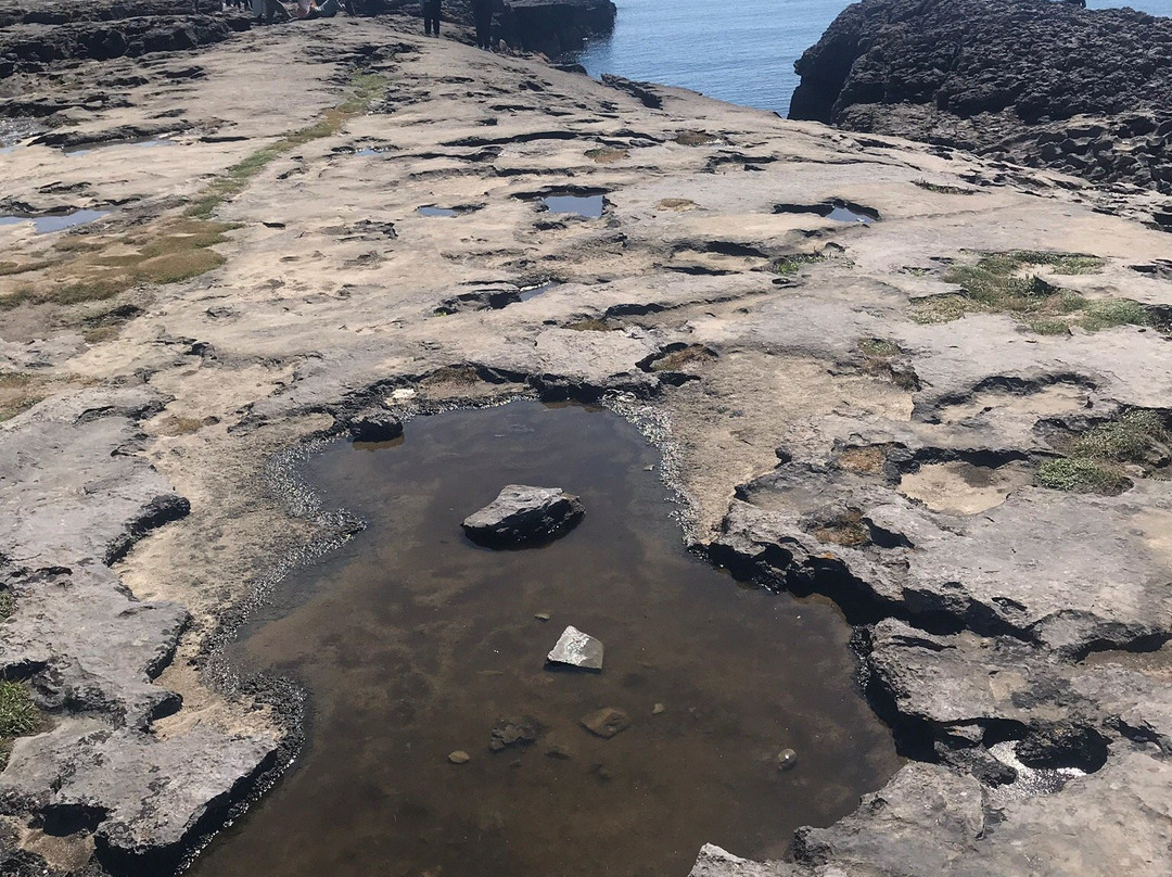 Beauty Of The Burren Walks景点图片