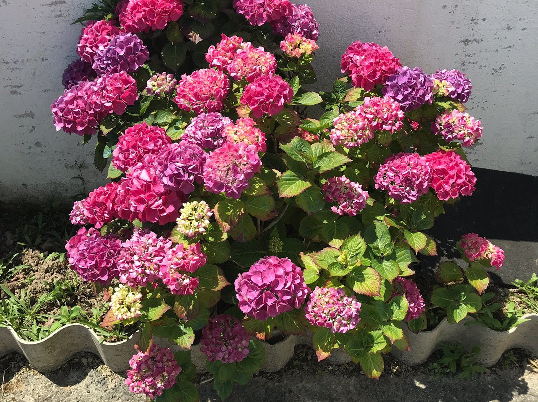 Chambres D'Hotes La Prade主图