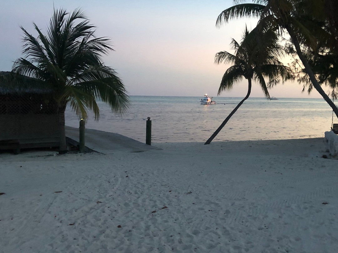 Southern Cross Club主图