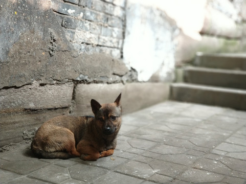 枇杷山公园-重庆市必去景点