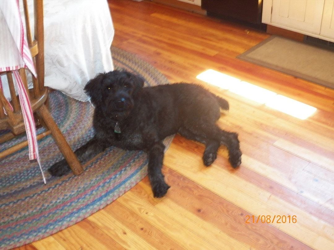 Husum Highlands Bed and Breakfast主图