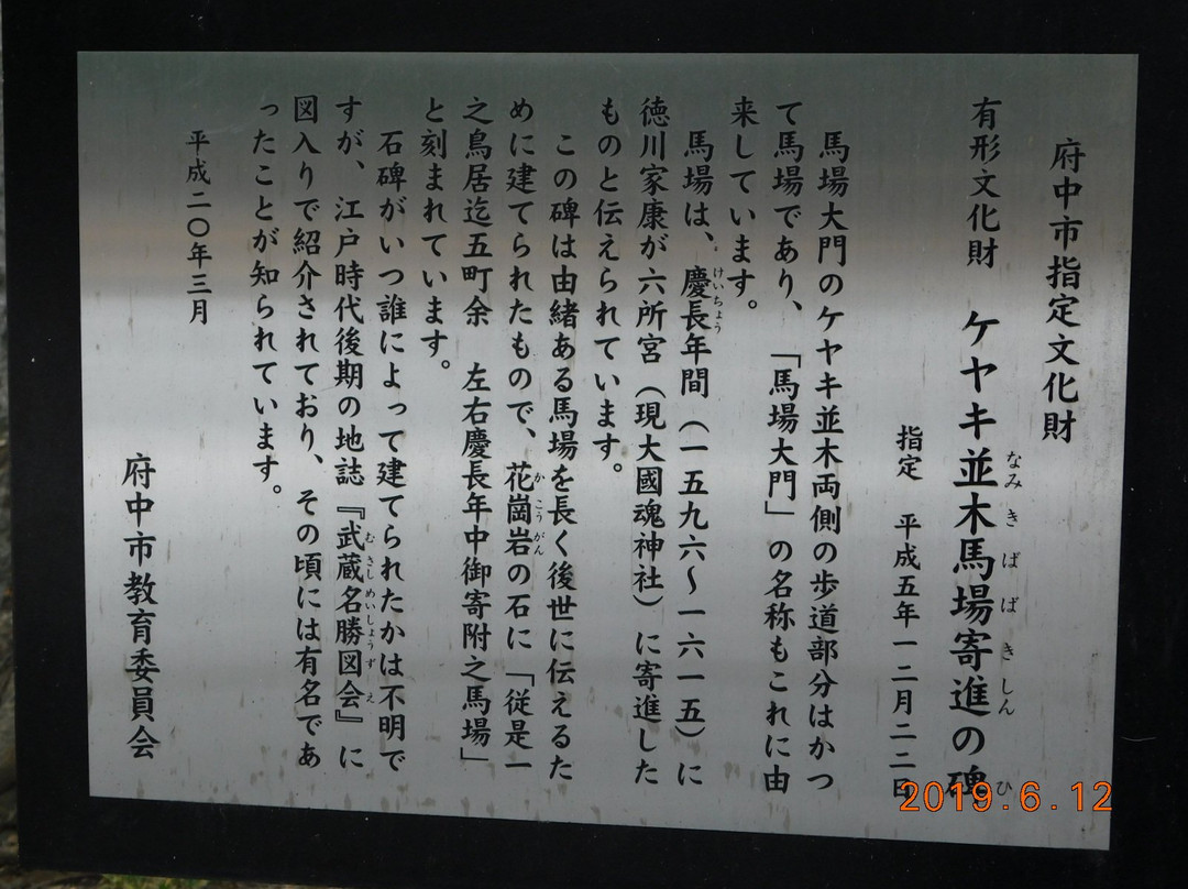 The road lined with Japanese Zelkova near Babadaimon Gate-府中市必去景点