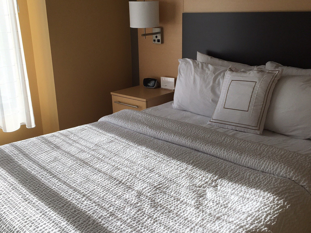 TownePlace Suites by Marriott New Hartford主图