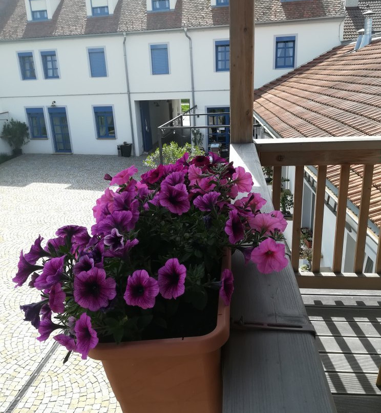 Hotel Bonsai Mikulov主图