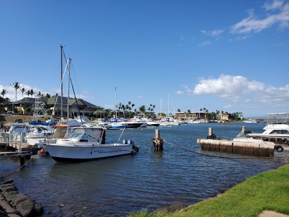 Maalaea Harbor-玛阿拉也亚必去景点