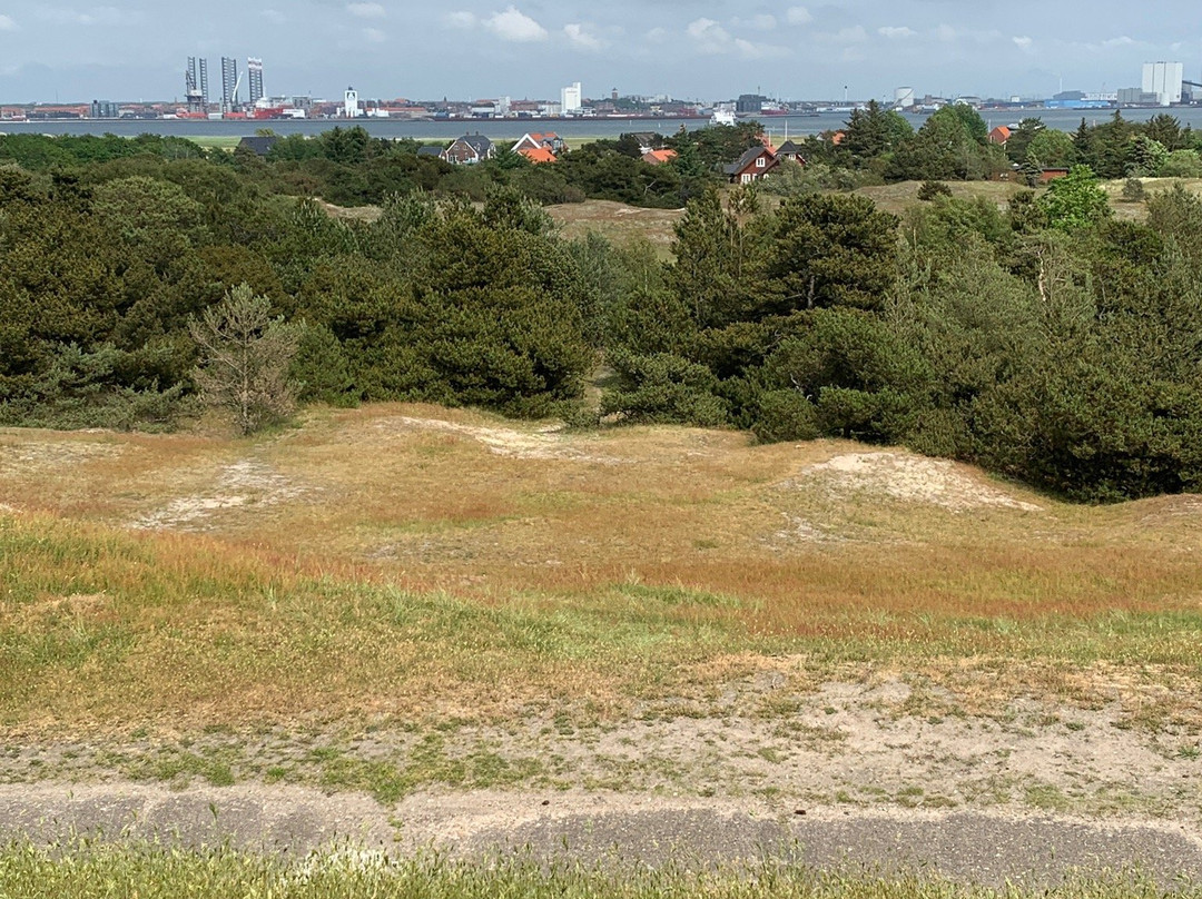 Kikkebjerg Plantage景点图片