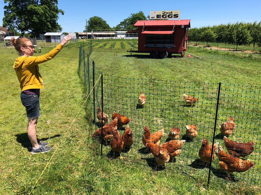 T.S. Smith & Sons-Bridgeville必去景点