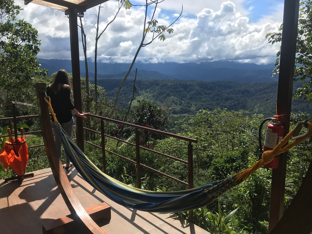 Bellandia Lodge主图