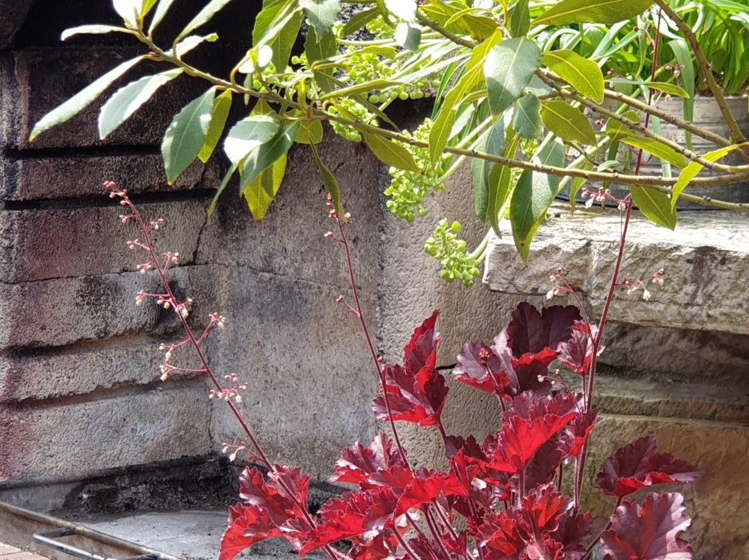 Weingut Espenhof主图