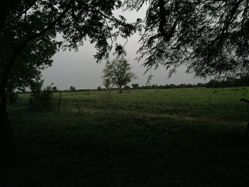 Old Bell Guest House主图