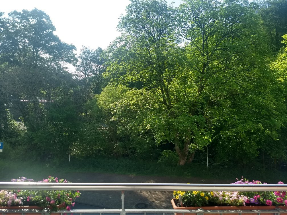 Haller Hotel Garni主图