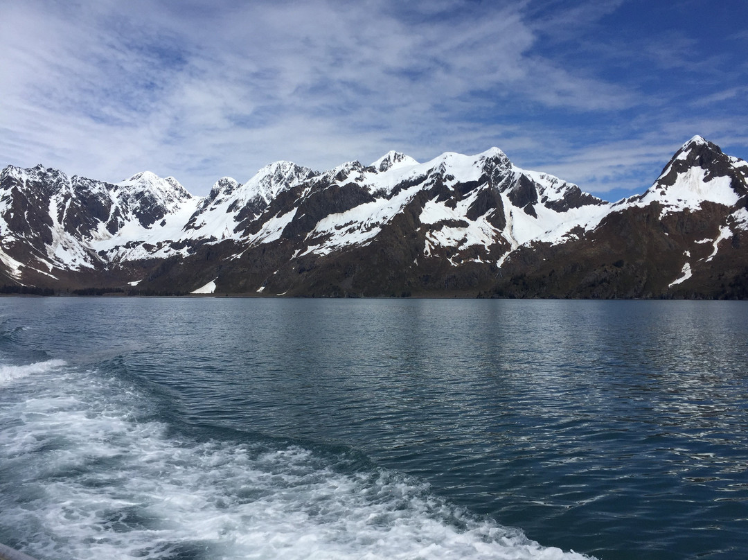 Alaska Saltwater Tours景点图片
