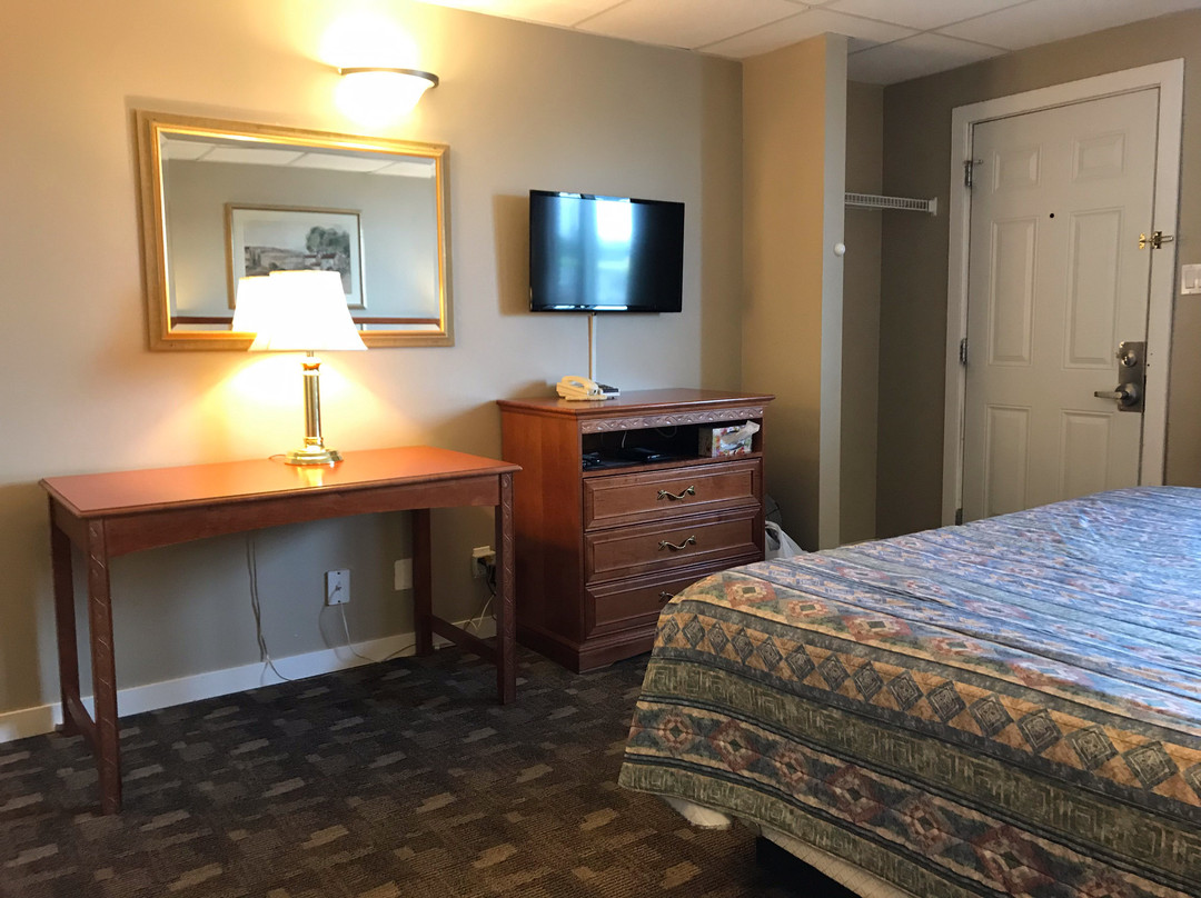 Tel Star Motel主图