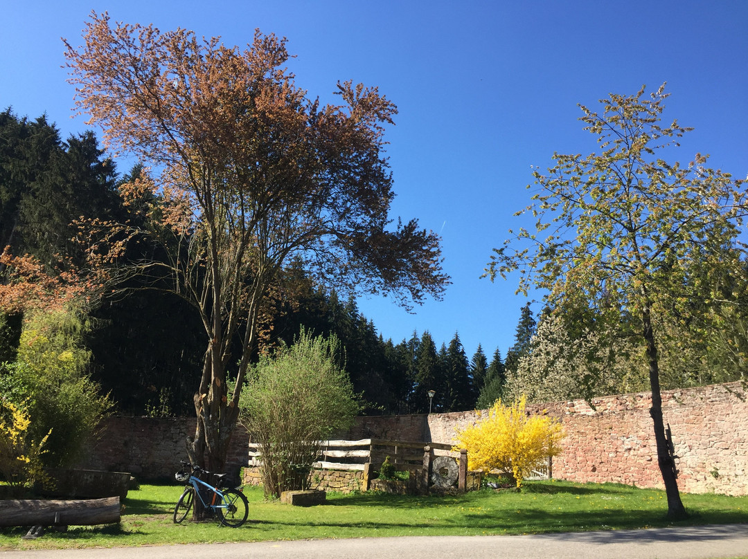 Hasloch旅游攻略图片