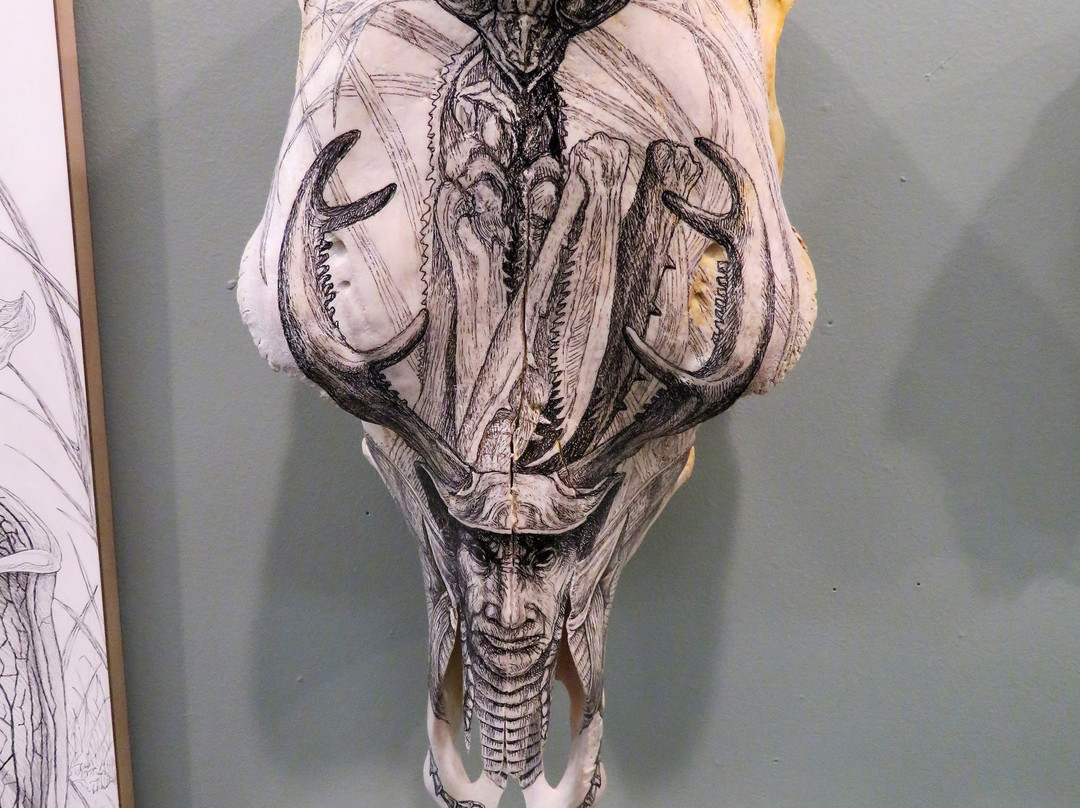 Torpedo Factory Art Center-亚历山德里亚必去景点