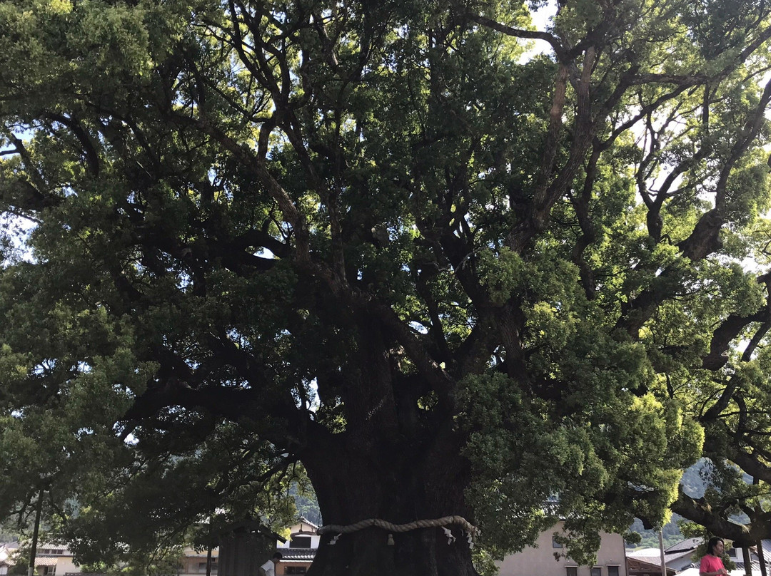 Kamo no Okusu-东三好町必去景点