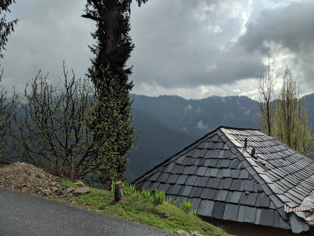 Satyam Home Stay主图