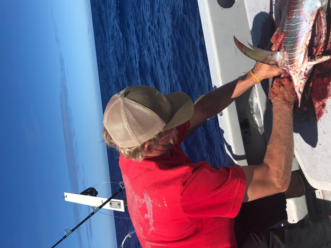 M&L Sport Fishing-凯鲁瓦-柯纳必去景点