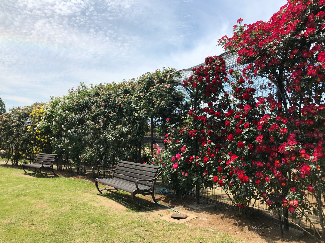 Kitakyushu Agricultural Center-北九州市必去景点