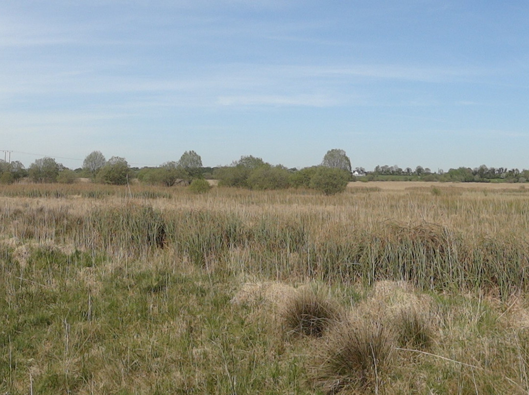 Pollardstown Fen Nature Reserve-Newbridge必去景点