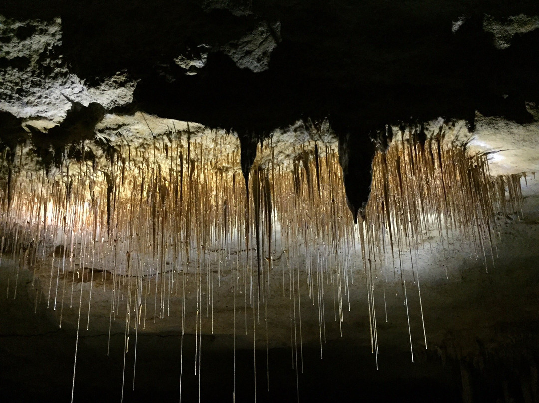 Naracoorte旅游景点-Naracoorte Caves National Park