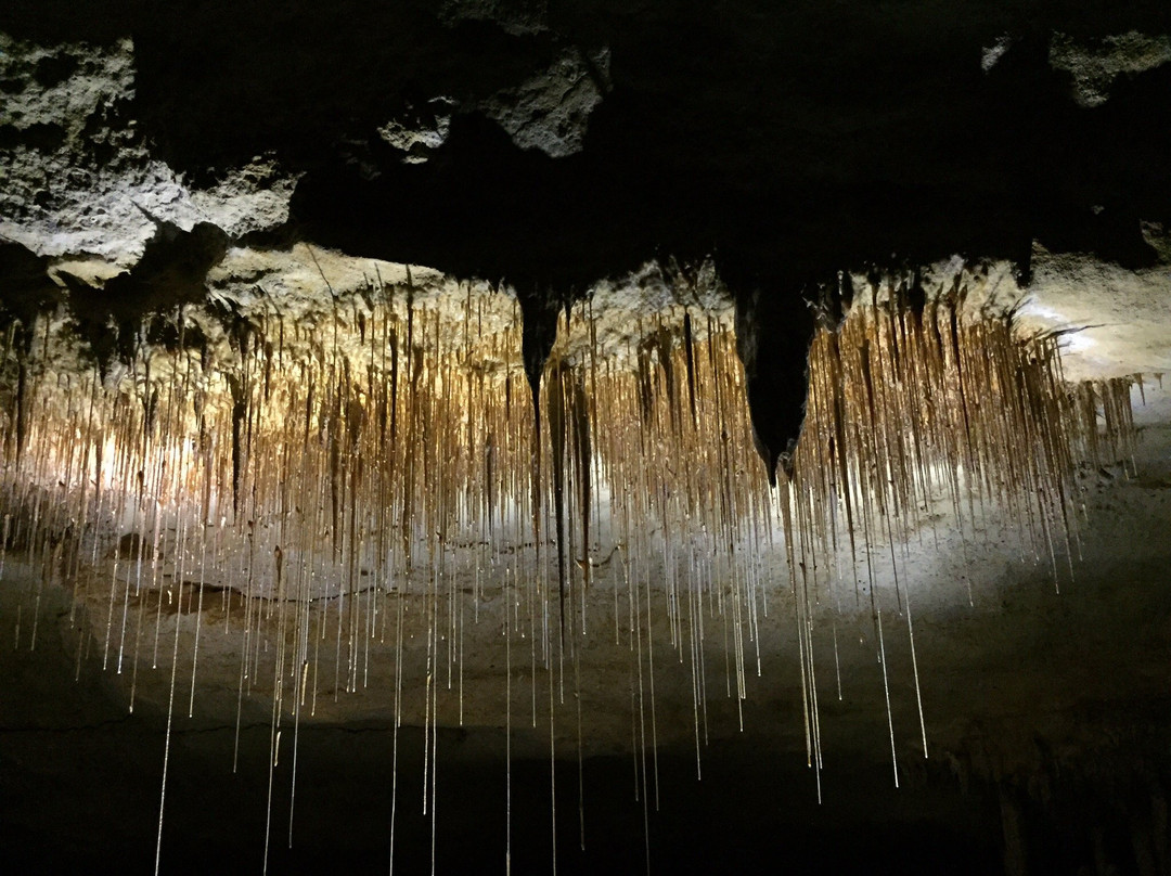 Naracoorte Caves National Park景点图片
